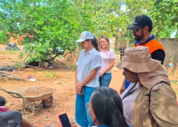 Sebem oferece assistência veterinária a animais atingidos por vendaval no Jardim Taquari: “Expostos à chuva e ao estresse”