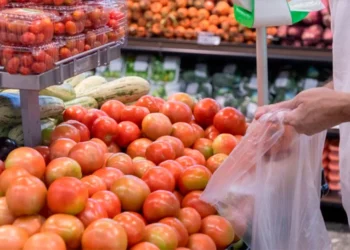 Cesta básica registra queda de 5,53% em Palmas no segundo semestre de 2025, aponta balanço da Conab