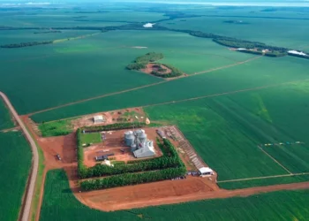 Abertura nacional da colheita da soja 2025/26 será realizada nesta sexta-feira; inscrições seguem abertas