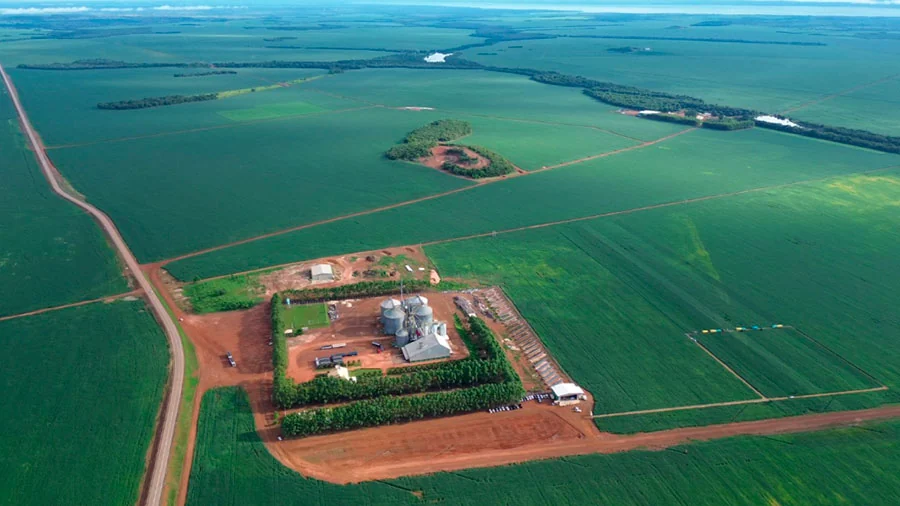 Abertura nacional da colheita da soja 2025/26 será realizada nesta sexta-feira; inscrições seguem abertas