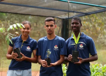 Governo conquista 2º lugar no ranking nacional de educação ambiental com ações em 84% das escolas, aponta Inep