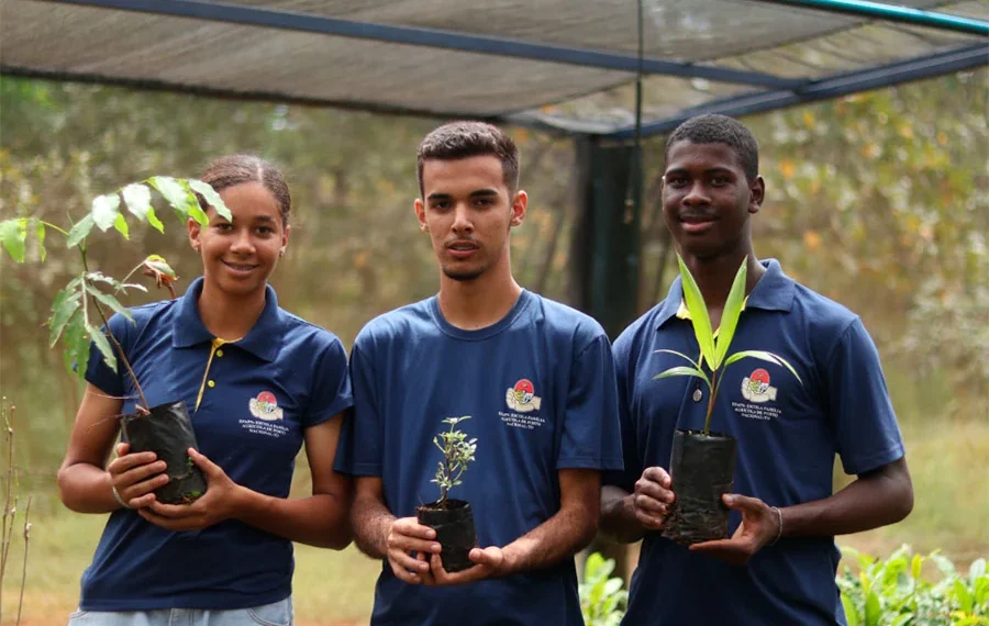 Governo conquista 2º lugar no ranking nacional de educação ambiental com ações em 84% das escolas, aponta Inep