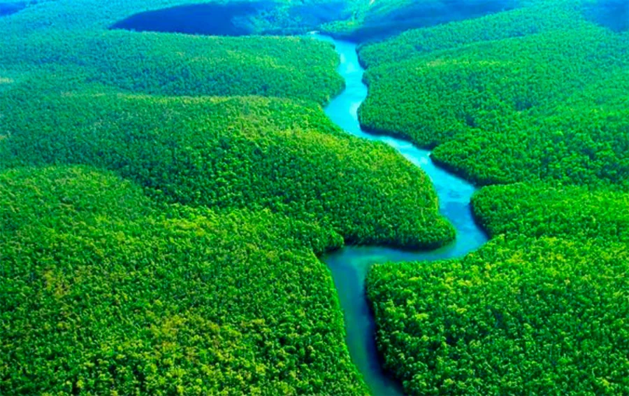 Porto Nacional apoia o Floresta+Amazônia e incentiva preservação com geração de renda para pequenos produtores rurais