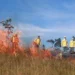 Naturatins registra queda de mais de 30% em área afetada por incêndios nas UCs do Tocantins em 2025