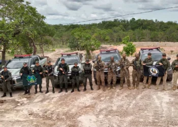 Com atuação da PM, TO encerra 2025 com queda de 75% nos latrocínios e retira mais de 1,4 tonelada de entorpecentes das ruas