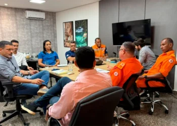 Semarh, Naturatins e Corpo de Bombeiros alinham ações de combate às queimadas ilegais para 2026