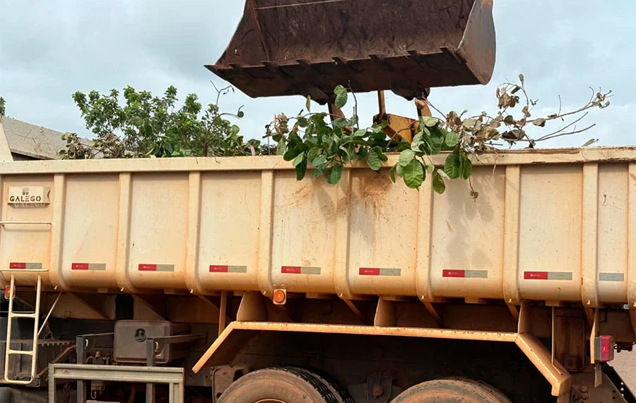 Cerca de 50 homens trabalham na remoção de galhos e árvores caídas após forte vendaval no Taquari, diz Zeladoria Urbana