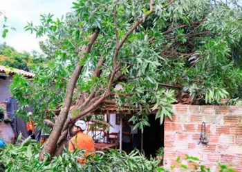 Cedeca torna público nota de repúdio e solidariedade às famílias atingidas pelo vendaval no Jardim Taquari