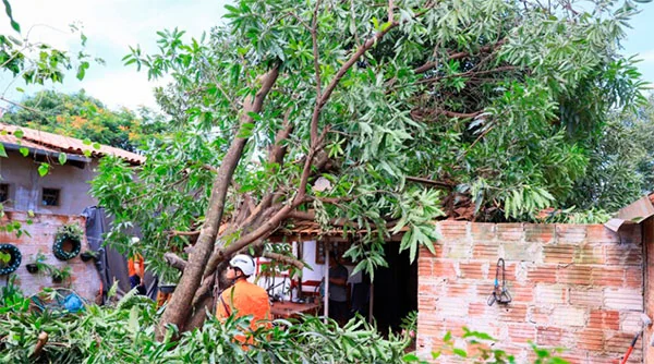 Cedeca torna público nota de repúdio e solidariedade às famílias atingidas pelo vendaval no Jardim Taquari