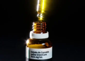 Anvisa aprova cultivo de cannabis por empresas e amplia acesso e permite comercialização de medicamentos usados via bucal, sublingual e dermatológica