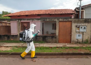 Casos de dengue em Araguaína quase duplicam em nove dias e chegam a 923 ; município já soma três mortes pela doença