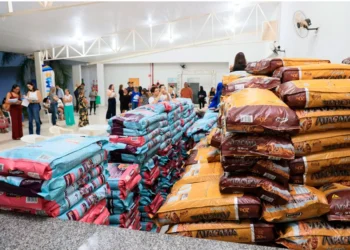 Com apoio a protetores, ONGs e tutores cadastrados, Palmas entrega mais uma etapa do Tigela Cheia nesta quinta-feira