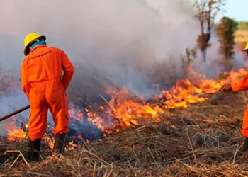 Com salário de mais de R$ 1,9 mil, Prefeitura de Araguaína inicia contratação de brigadistas para combate a queimadas durante a estiagem