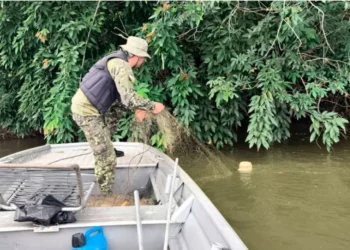 Naturatins apreende mais de 12 mil metros de redes, seis tarrafas e duas armas de fogo no feriado de Carnaval