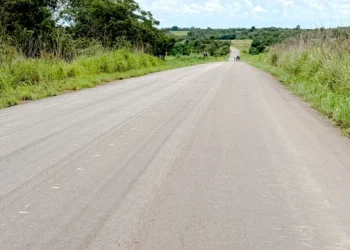 MPE recomenda sinalização urgente na Rodovia TO-373 para conter acidentes entre Alvorada e Araguaçu em até 60 dias