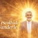 RESUMO | Amélio, o escolhido de Wanderlei para a majoritária palaciana