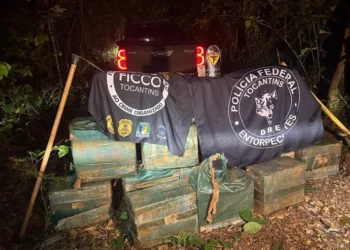 Ficco do Tocantins desarticula organização criminosa e apreende mais 460 quilos de cocaína em depósito subterrâneo