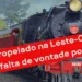 RESUMO | TO atropelado na Leste-Oeste por falta de vontade política