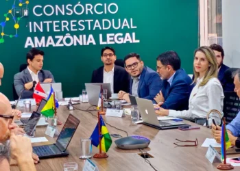 Em Brasília, Tocantins e estados da Amazônia debatem a análise, gestão das informações relacionadas ao CAR e a implementação do Código Florestal
