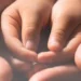 Palmas abre edital para seleção de famílias para o Serviço de Acolhimento; inscrições começam dia 1º de abril e seguem até 30 de junho