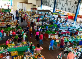 Prefeitura inicia censo das feiras para fortalecer organização, identificar espaços ocupados e ociosos; Palmas conta com sete ativas