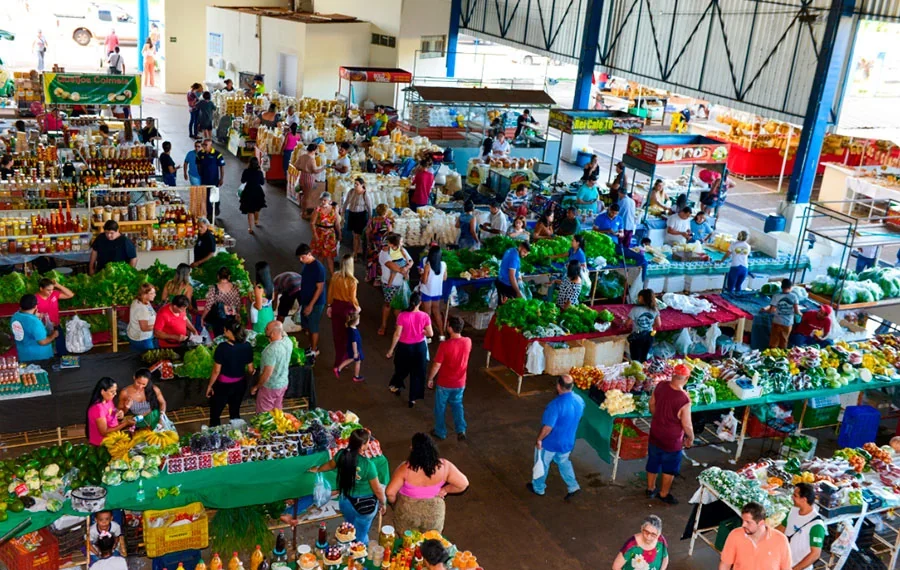 Prefeitura inicia censo das feiras para fortalecer organização, identificar espaços ocupados e ociosos; Palmas conta com sete ativas
