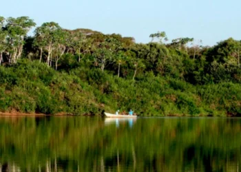 Naturatins renova portarias que estabelecem restrições à pesca nas bacias dos rios Tocantins e Araguaia; entenda
