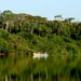 Naturatins renova portarias que estabelecem restrições à pesca nas bacias dos rios Tocantins e Araguaia; entenda