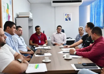 Adapec promove reunião para discutir padronização das informações agrícolas; Tocantins supera 2 milhões de hectares em cultivo de grãos