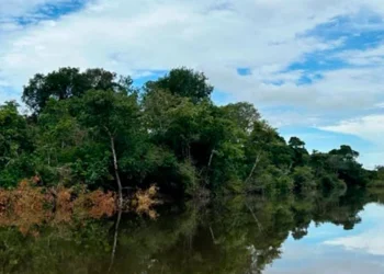 Produtores da Bacia do Rio Formoso têm 30 dias para comprovar a regularidade ambiental de suas propriedades