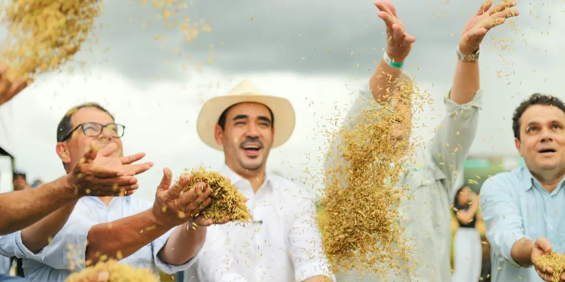 Na abertura da colheita do arroz, Vicentinho Júnior volta a defender fim do FET e destaca atuação na desburocratização das leis ambientais