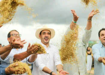 Na abertura da colheita do arroz, Vicentinho Júnior volta a defender fim do FET e destaca atuação na desburocratização das leis ambientais