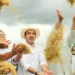 Na abertura da colheita do arroz, Vicentinho Júnior volta a defender fim do FET e destaca atuação na desburocratização das leis ambientais