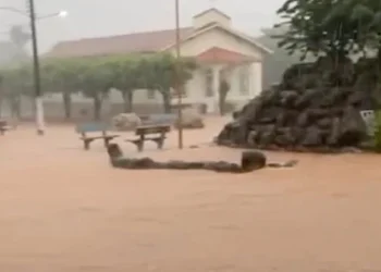 Após chuvas intensas no fim de semana, Estado anuncia força-tarefa para atender cidades com alagamentos e vias obstruídas