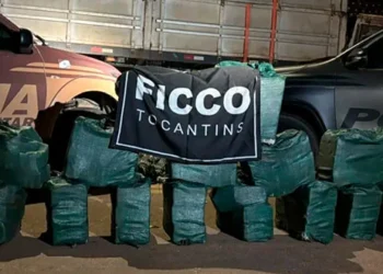 FICCO apreende cerca 467 kg de cocaína em caminhão carregado com abacaxis em Tabocão; motorista é preso