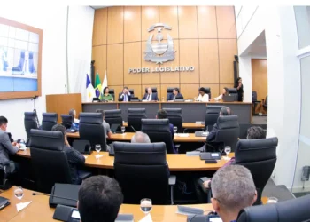 Audiência pública realizada pela Câmara de Palmas reúne vereadores e especialistas para discutir previdência complementar do município