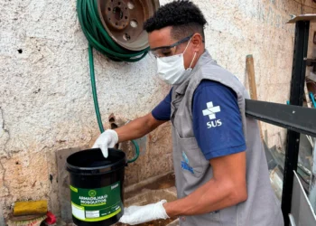 Palmas começa a aplicar tecnologia que transforma o mosquito transmissor da dengue em agente de controle de arboviroses