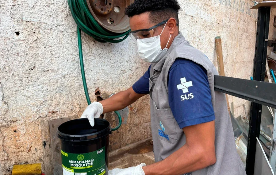 Palmas começa a aplicar tecnologia que transforma o mosquito transmissor da dengue em agente de controle de arboviroses