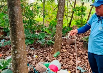 Araguaína registra maior notificação da dengue dos últimos 14 anos; até o momento 2,6 mil casos confirmados e cinco óbitos