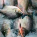 Procon divulga pesquisa de preços de pescados para Semana Santa; camarão teve variação de 83,35%