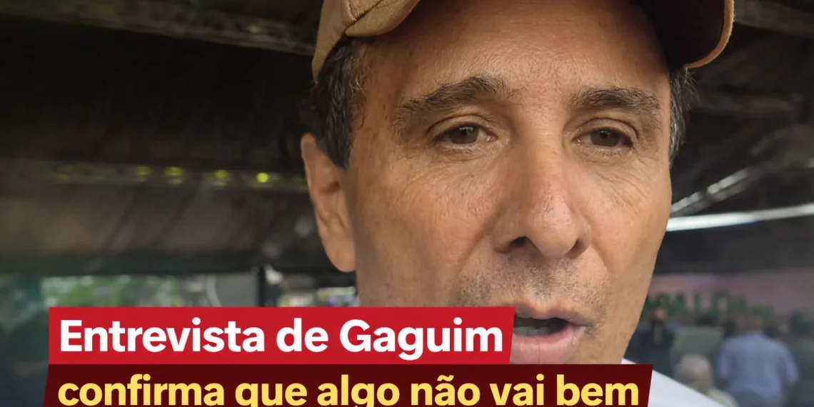 RESUMO | Entrevista de Gaguim confirma que algo não vai bem; por quê Gaguim está ausente da majoritária palaciana?
