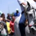 MPE elenca ações e cuidados que garantam o bem-estar animal e segurança na cavalgada da ExpoGurupi 2026