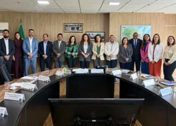 Senadora Dorinha e órgãos estaduais articulam com governo federal ações de regularização fundiária no Bico do Papagaio