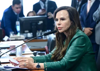 CAE do Senado aprova relatório de Dorinha Seabra que insere empreendedorismo e educação financeira na formação escolar