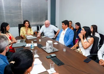 MPE articula medidas com gestores da Saúde do Estado e do município de Palmas para prevenção de óbito materno e infantil