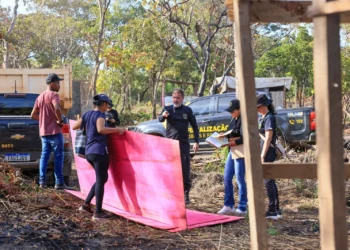 Prefeitura de Palmas recupera área pública ocupada de forma irregular e acompanha famílias em situação de vulnerabilidade