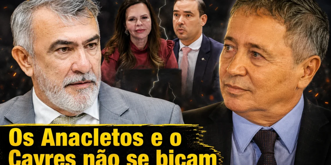 RESUMO | Polêmica em suposto apoio a Dorinha: Os Anacletos e o Cayres não se bicam