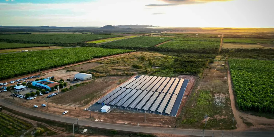 Estado prorroga prazo para regularizar e transferir lotes dos projetos de irrigação até outubro de 2029