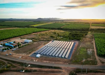 Estado prorroga prazo para regularizar e transferir lotes dos projetos de irrigação até outubro de 2029