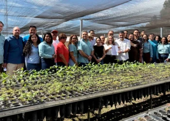 Semarh articula força-tarefa com 13 municípios e UFT para recuperar áreas degradadas e proteger nascentes